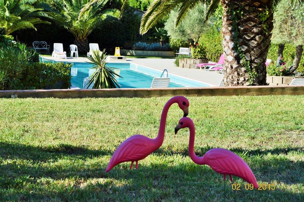 Villa Les 4 Saisons Saint Tropez Екстер'єр фото
